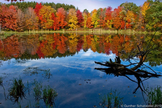 Proud Lake Michigan Fall Colors blue sky and trees by GuntherScha