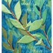 Fine Art Postcard - Daphne II - 4x6 Art Print Postcard