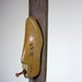 Vintage Shoe Form Coat or Hat Rack Mounted on Rustic Weathered Barn Wood