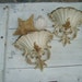 Vintage Syroco Wall Pockets with Seashells