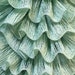 FREE Worldwide Shipping Samba yarn. Mint green. Ruffle scarf yarn , frilly Fresh summer, trending yarn, ICE