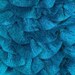 Turquoise scarf yarn ruffle fashion frilly fresh blue nautical summer, trend yarn, Samba ICE
