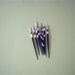 FREE SHIPPING , African Porcupine Quills , Banded , Natural , Cleaned , Sanitized , Best Price Anywhere