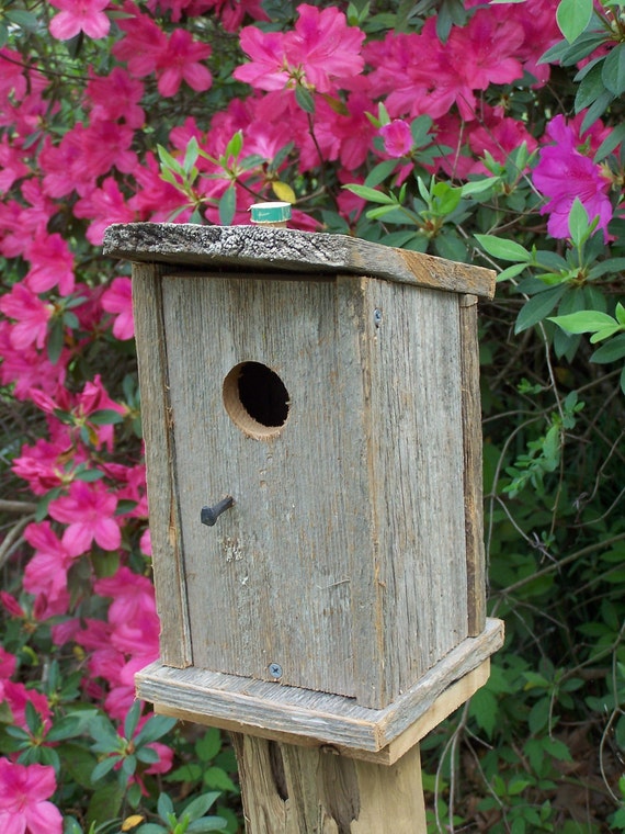 Weathered Cedar Outhouse Birdhouse