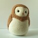 Shepard the Crochet Barn Owl