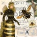 Vintage Bees Clip Art Digital Collage Sheet Art Journal