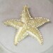 Vintage Goldtone Starfish Pin 1970s