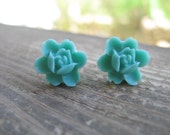 Turquoise earrings