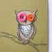 Blank BUTTON OWLS Hand Drawn Cards (Set of 4)