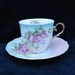 Tea Cup and Saucer: Hand decorated porcelain