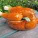 Vintage Gravy Boat Gravy Dish Kitsch Retro Kitchenware