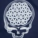 Grateful Dead Steal Your Face T-shirt with flower of life lightning bolts, Navy Size M
