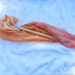 PixieStick - Silk Streamer Toy Pretend Play