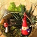 Gnome and Succulent Moss Terrarium - a wonderful birthday idea DON'T FORGET to add a CHARM