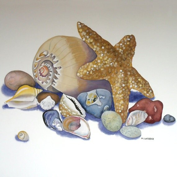 Seashell Starfish Original Still Life Beach Finds by michelewebber