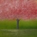 ORIGINAL Abstract Textured Cherry Blossom Tree Oil Painting - Beneath the Cherry Blossoms