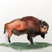 Original Watercolor Painting-Bison