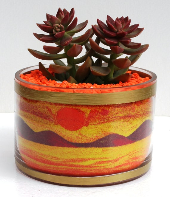 Desert Landscape 6 inch dish garden glass vase featuring