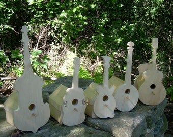 Instrument Bird House for small "song" birds