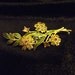 Vintage Spring Summer Flower Brooch Colors of Spring Summer