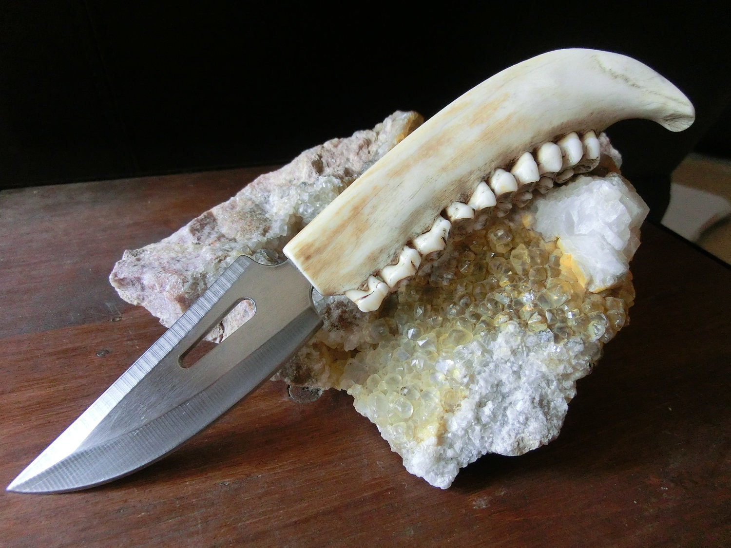 Deer Jaw bone Stainless Steel Hunting Knife Hand Tooled