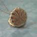 The Mermaid Locket, Vintage French "LaMode" Rose Gold Locket