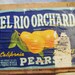 Vintage El Rio Orchard California Bartlett Pears Wood Crate With Original Label Di Georgio Fruit Corporation