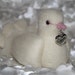 Mothers day gift MUM love dove