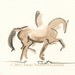 RESERVED-Horse Art Painting, Original Watercolor,Trotting Dressage Stallion, Framed-"Hi Action"