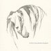 Andalusian Horse Art, Original Watercolor Painting by Anna Noelle Rockwell, Framed- "Andalusian Head I"