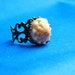 SALE- Hawaiian Cone Shell Antiqued Filigree Adjustable Ring