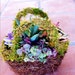 Succulent Basket - For Caroyln C Sept 30 wedding
