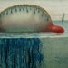 1897 Antique fine chromolithograph of JELLY, BLUEBOTTLE, Marine invertebrade, Portuguese man o' war, Sea life. Gorgeous print.