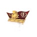 Soviet badge collectibles USSR Russia