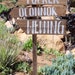 Up-cycled Hand Painted Rustic Wedding Sign