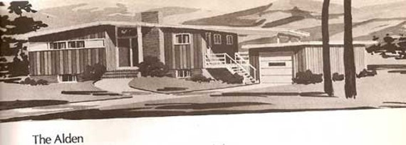 1979 MID  CENTURY  MODERN  house  plans  250 Home  Plans  book 