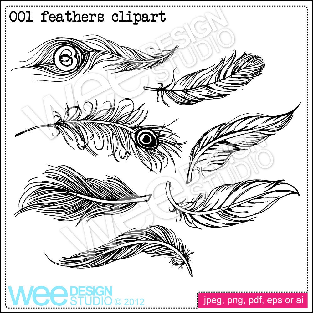 FEATHER digital clipart graphics png jpeg & eps personal or