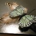 Butterfly Feather Hair Clip Cruelty Free