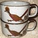 USA pottery style Roadrunner Soup mugs: Set of TWO Mint