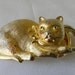 Adorable Large Gold Cat With Striking Eyes and Wearing Bow Belt Buckle