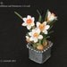 Dollhouse Miniature Paper Flowers 1:12 Narcissus planted in a genuine zinc flower pot (GF7)