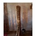 Saguaro Rib Trunk - Floor Lamp