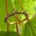 Inca XOXO: Diamond Wedding Band in 14K Rose Gold / Vintage Engagement Ring