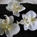 Pack of 3 Artificial orchid heads, Scrapbooking, Headpieces, Wedding, Craft
