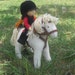 Girl with her horse