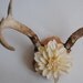Deer Antlers with Flowers - Wall Hanging Taxidermy 8 Point Rack Home Decor Ivory White Dahlia Jewelry Necklace Holder Shabby Boho Chic