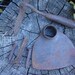 On Hold For CMae56 Rusty Spikes and Hoes/Tools