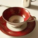 Alka Bavaria Tea Cup and Saucer Red and Gold