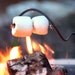 Marshmallow Roasters