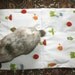 soft carrier liner for rabbits quilted veggie and ladybird printed cotton fabric - the Bun-velope